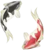 surgaasia